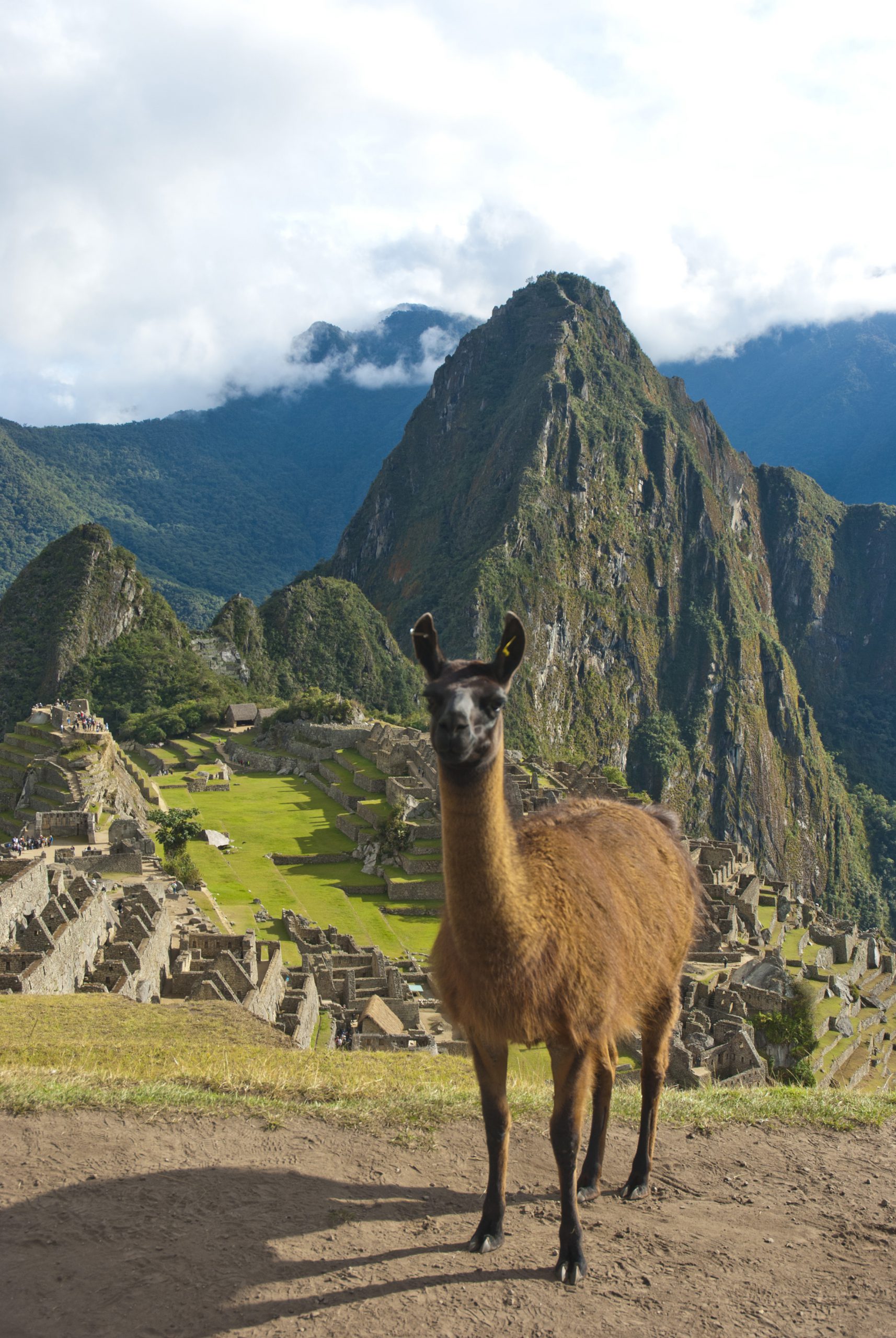 Machu Picchu in Peru