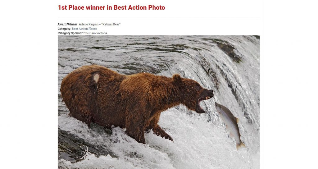 First Place Best Action Photo, TMAC Awards