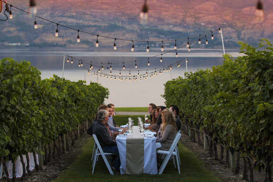 Dining in the vineyard