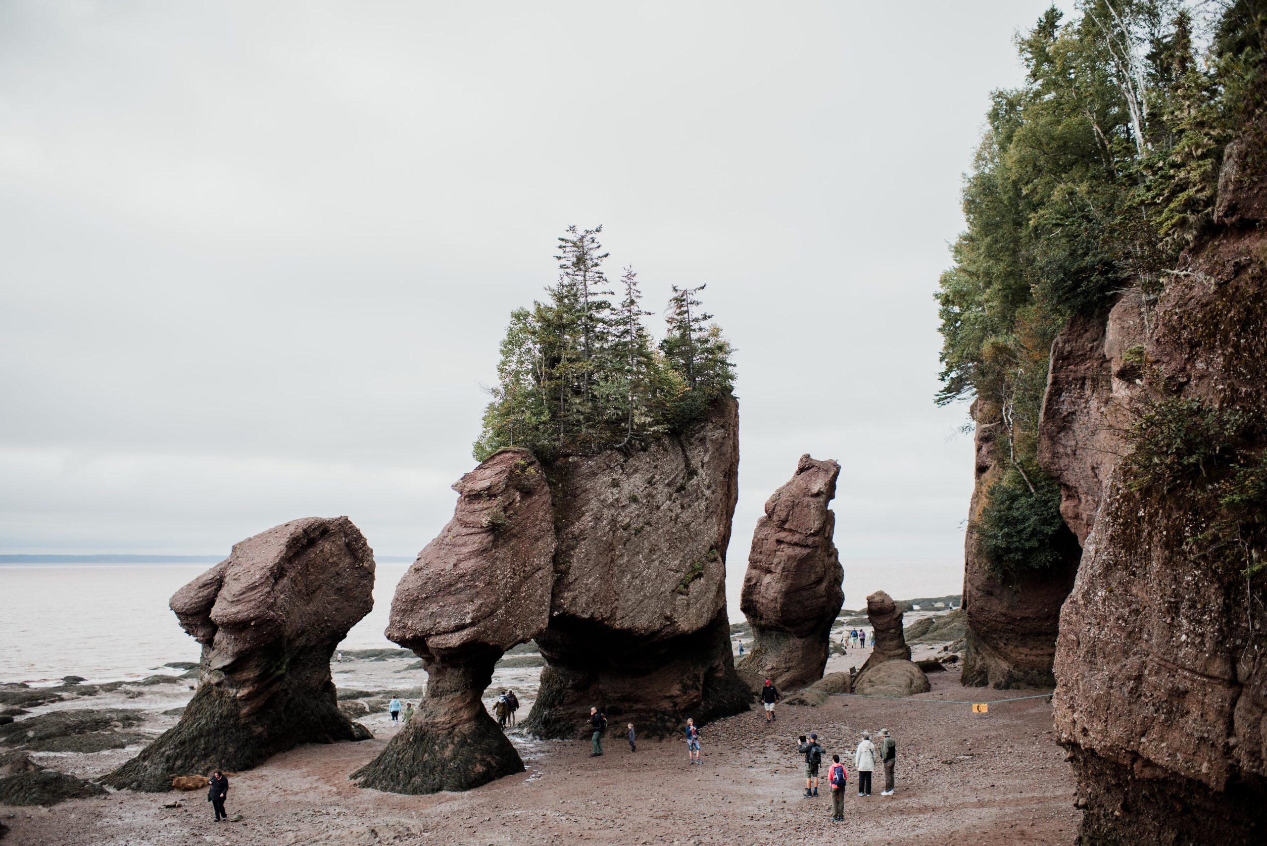 hopewell_rocks_1