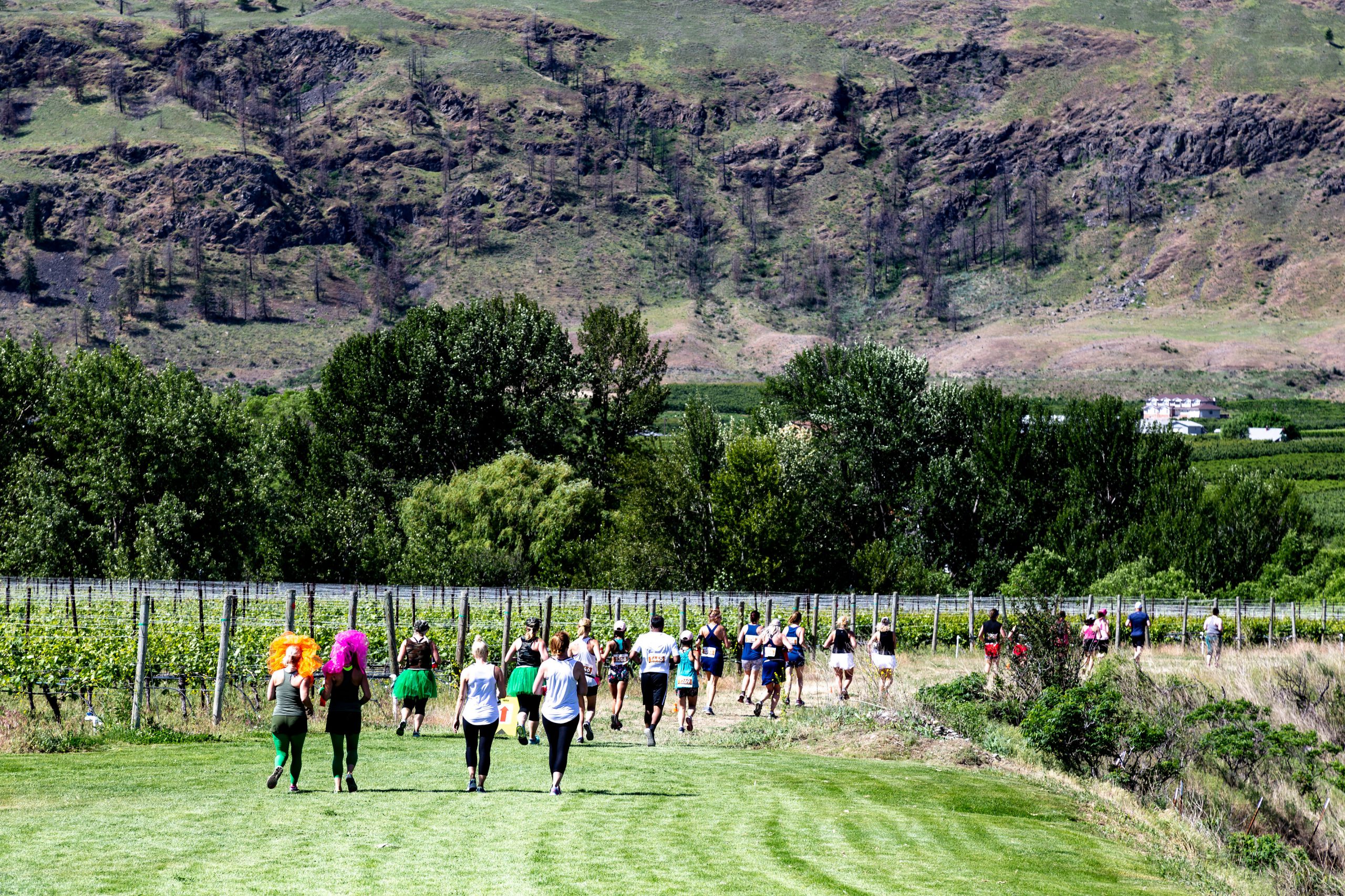 The Half Corked Marathon
