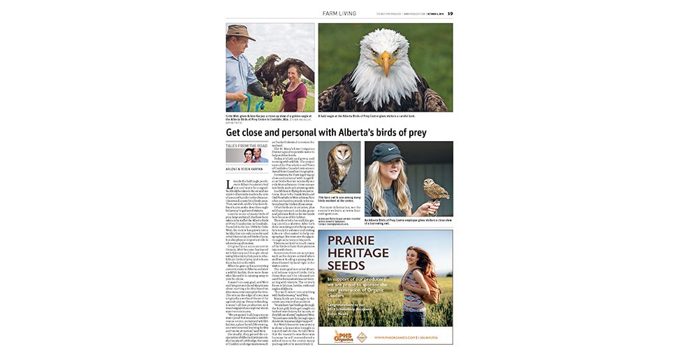 Get close and personal with Alberta's birds of prey