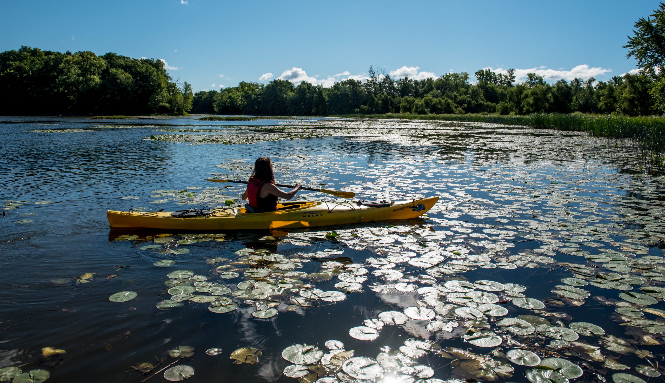 Parc de la RiviÃƒÂ¨re-des-Mille-ÃƒÅ½les
