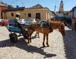 Trinidad-de-Cuba-common-horse-drawn-wagon-J