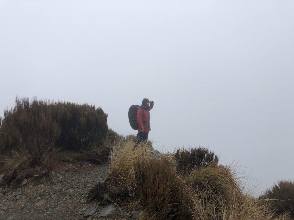 Alexis desperately searching for views we'd been promised