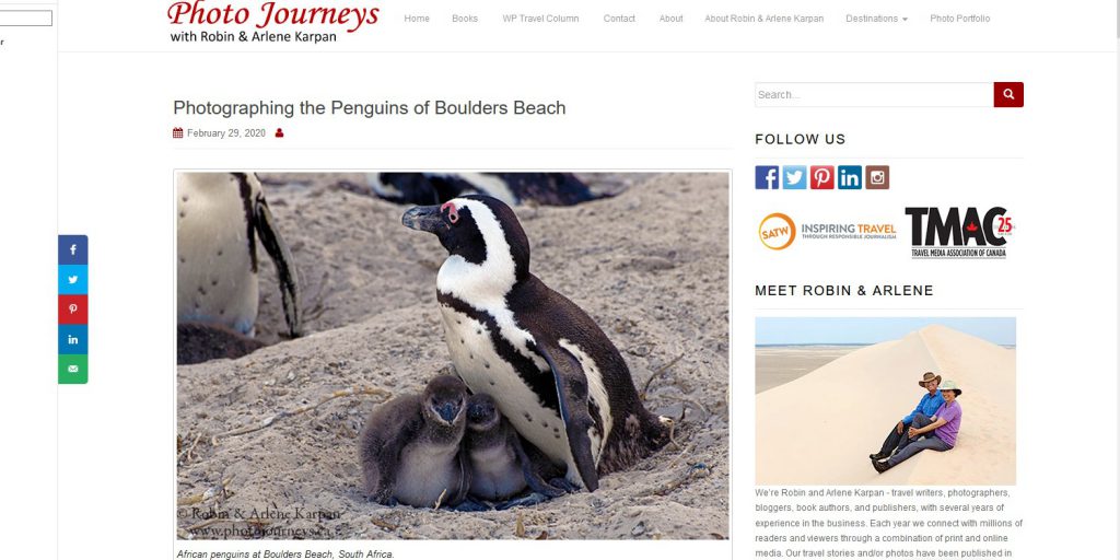 Photographing the Penguins of Boulders Beach