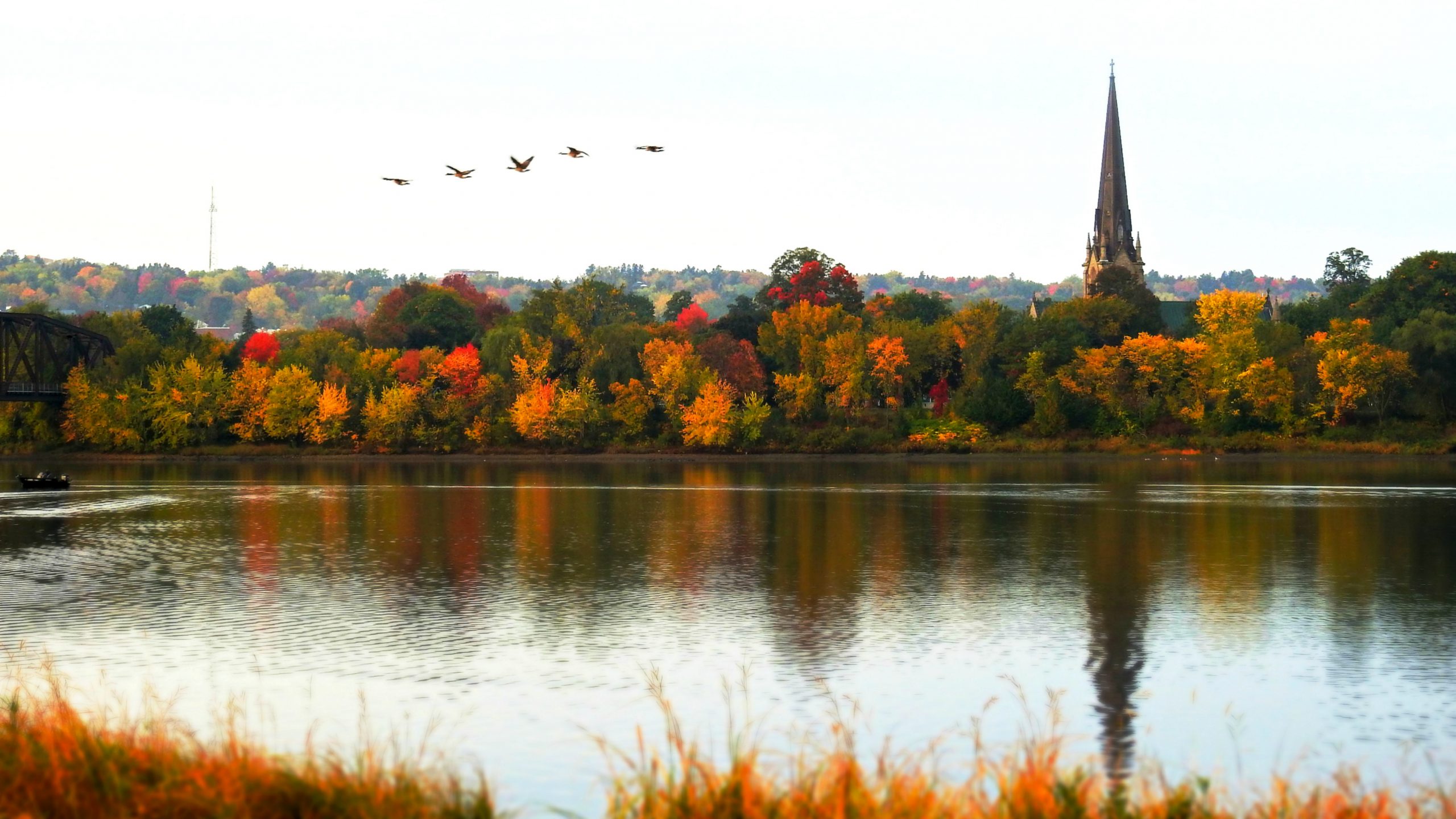 Autumn's beauty on full display