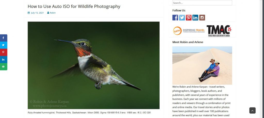How to use Auto ISO for Wildlife Photography