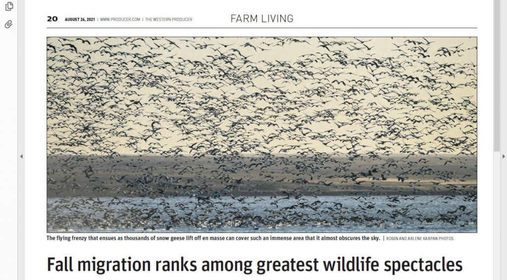 Fall Migration Ranks Among Greatest Wildlife Spectacles