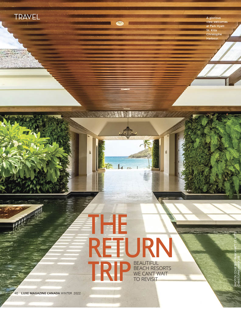The Return Trip