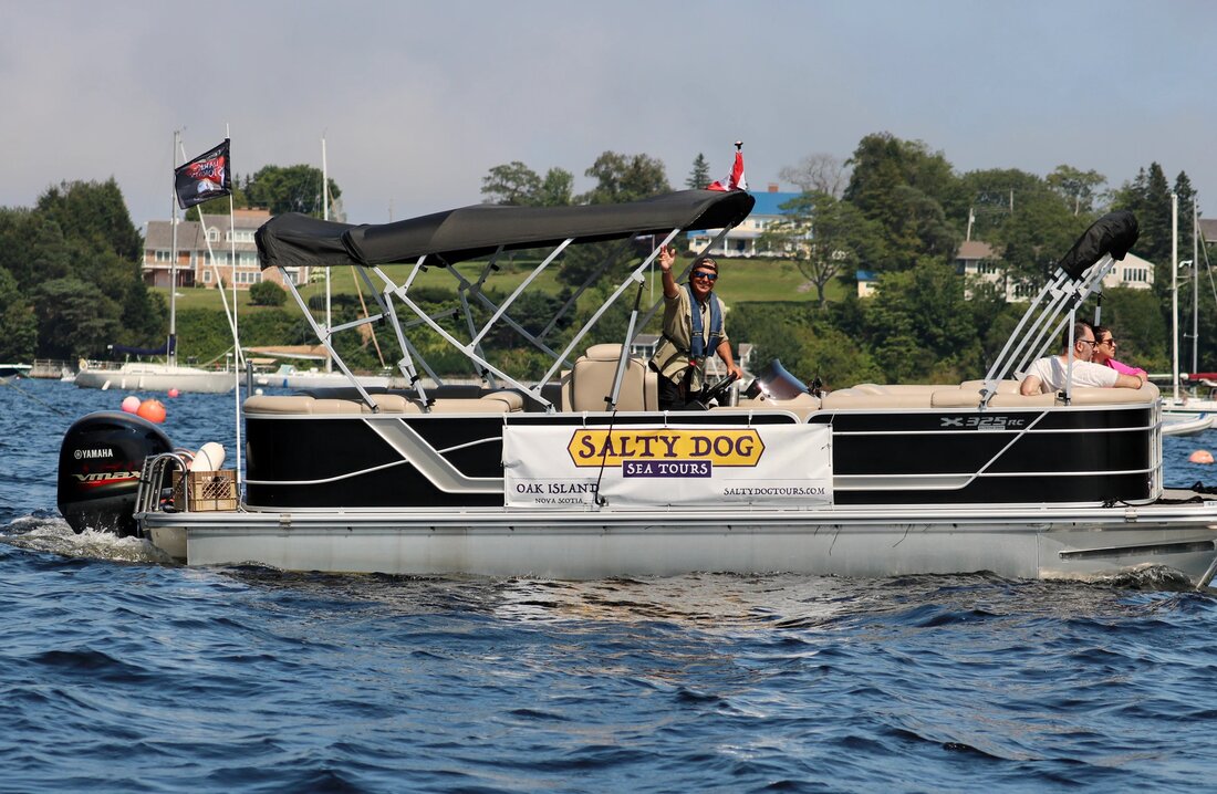 Salty dog