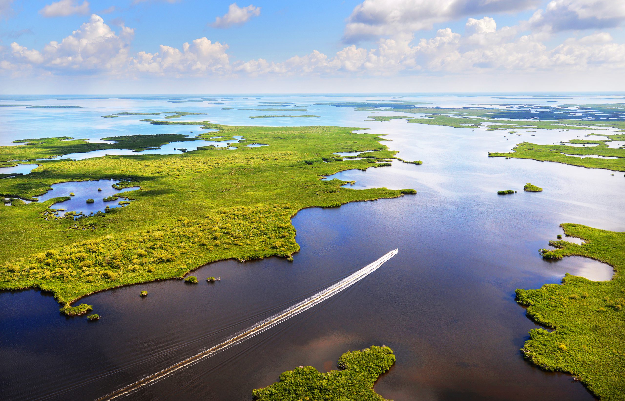 Aerial of the Everglades