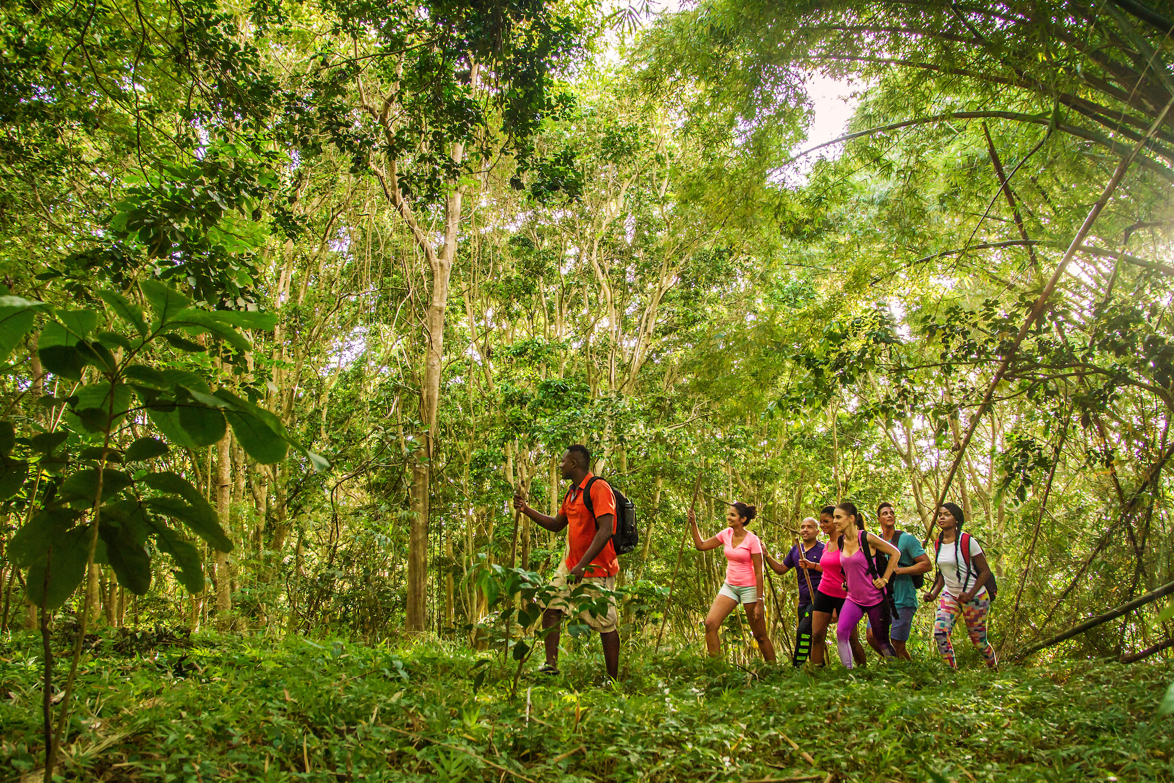 Barbados Coco Hill Adventure