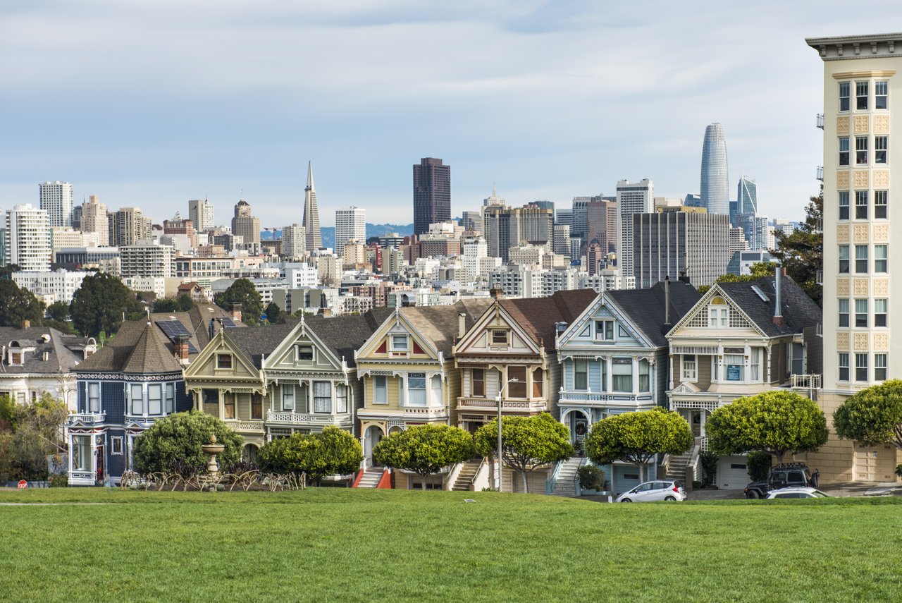 painted ladies 2019-medium