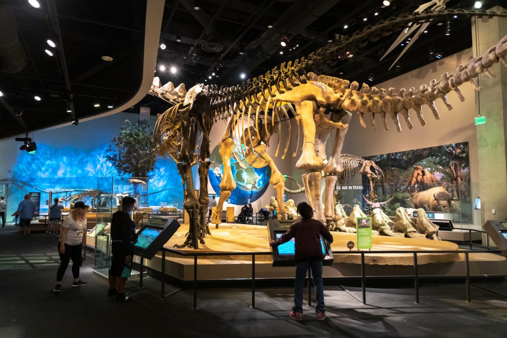 Perot Museum of Nature and Science