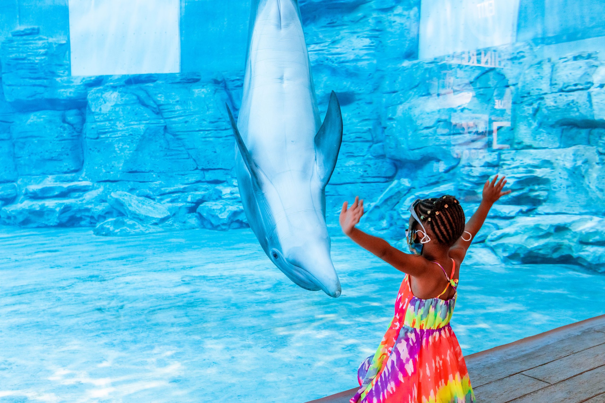Clearwater Marine Aquarium