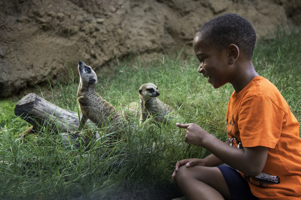 Houston Zoo