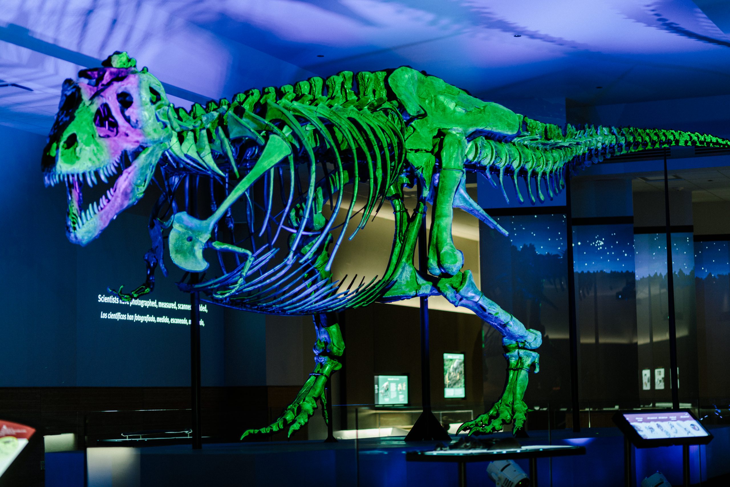 Field Museum