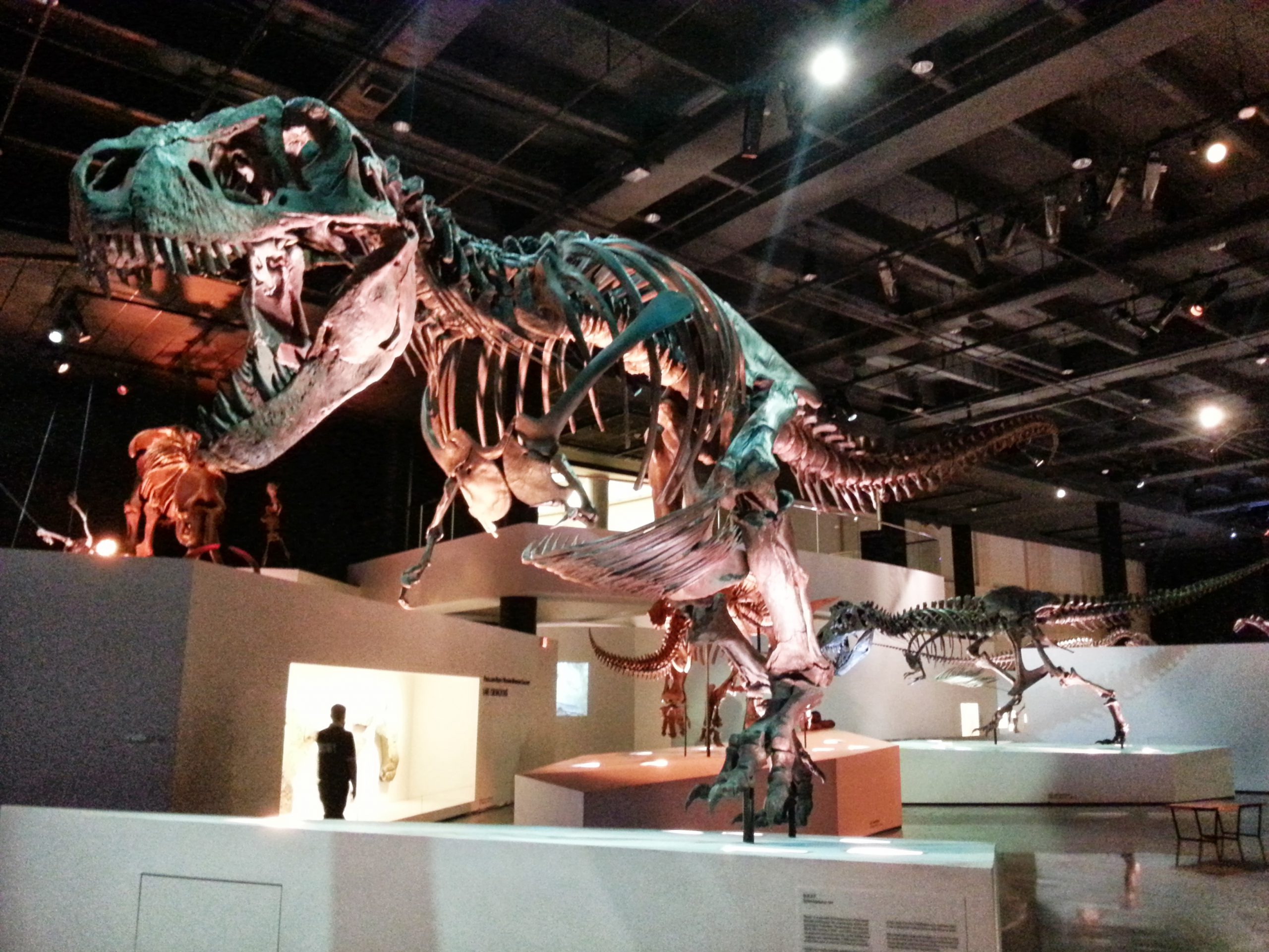 Houston Museum of Natural Science