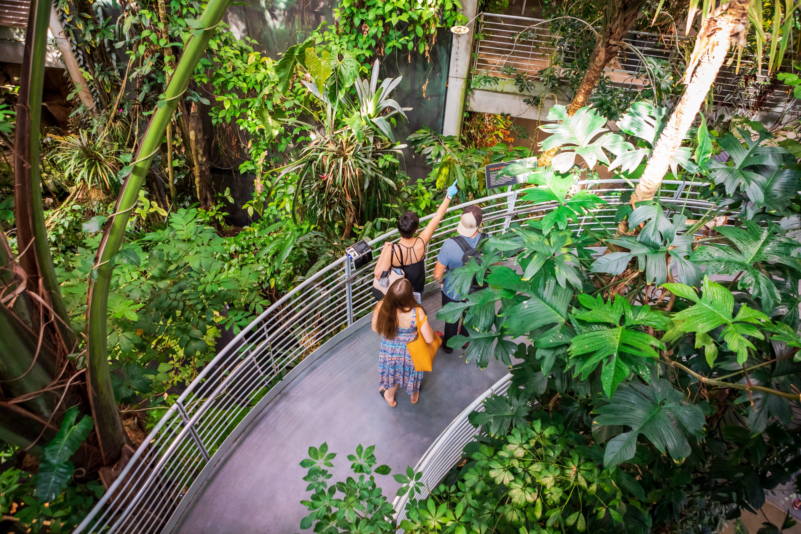 California Academy of Sciences