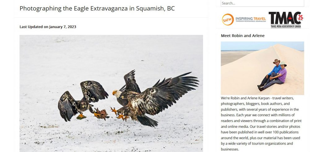 Photographing the Eagle Extravaganza in Squamish, BC