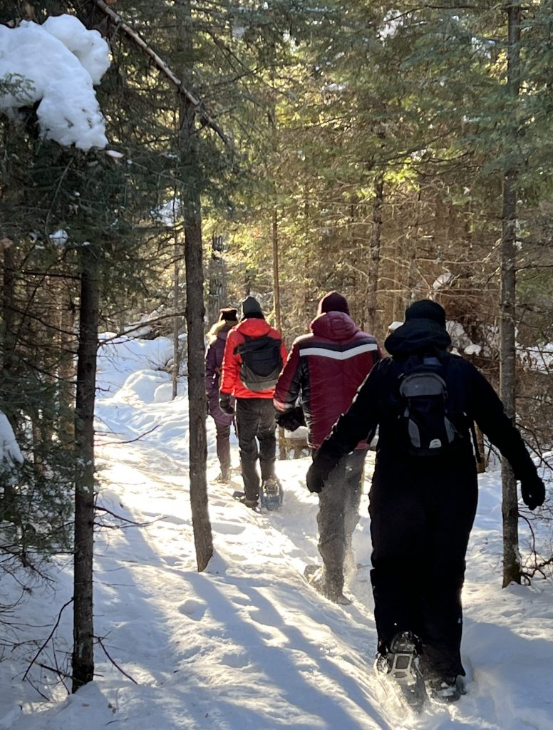 Winter Trekking Through Prince Albert National Park