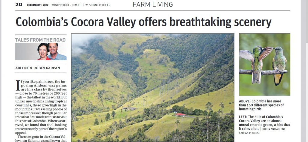 Colombia's Cocora Valley offers breathtaking scenery