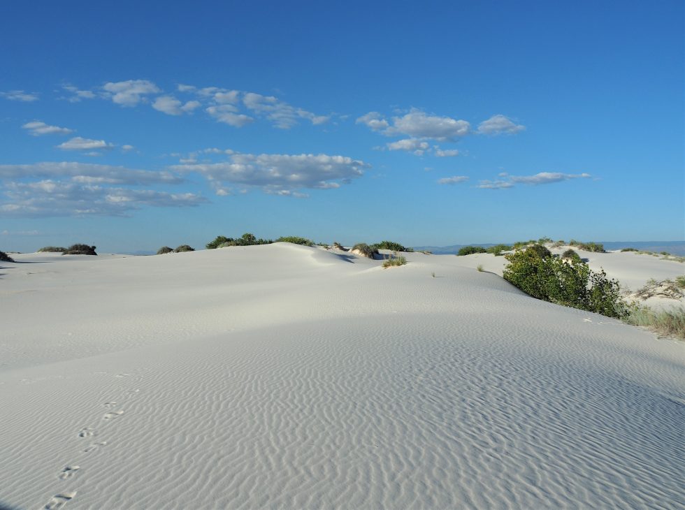white_sands-p9281314-980x730