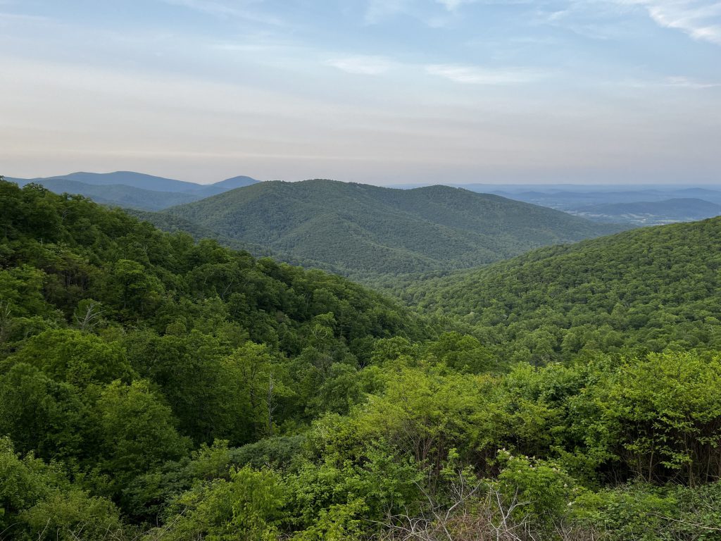 mm42pages16to21leadimageoption1