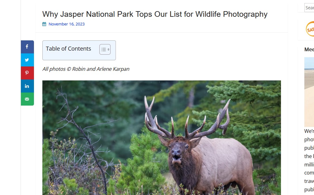 Why Jasper National Park Tops Our List for Wildlife Photography