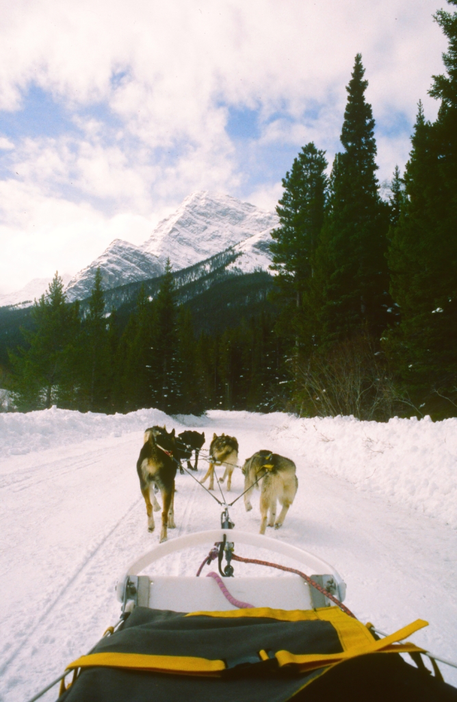 john_geary_-_winter_fun_no_skis4a