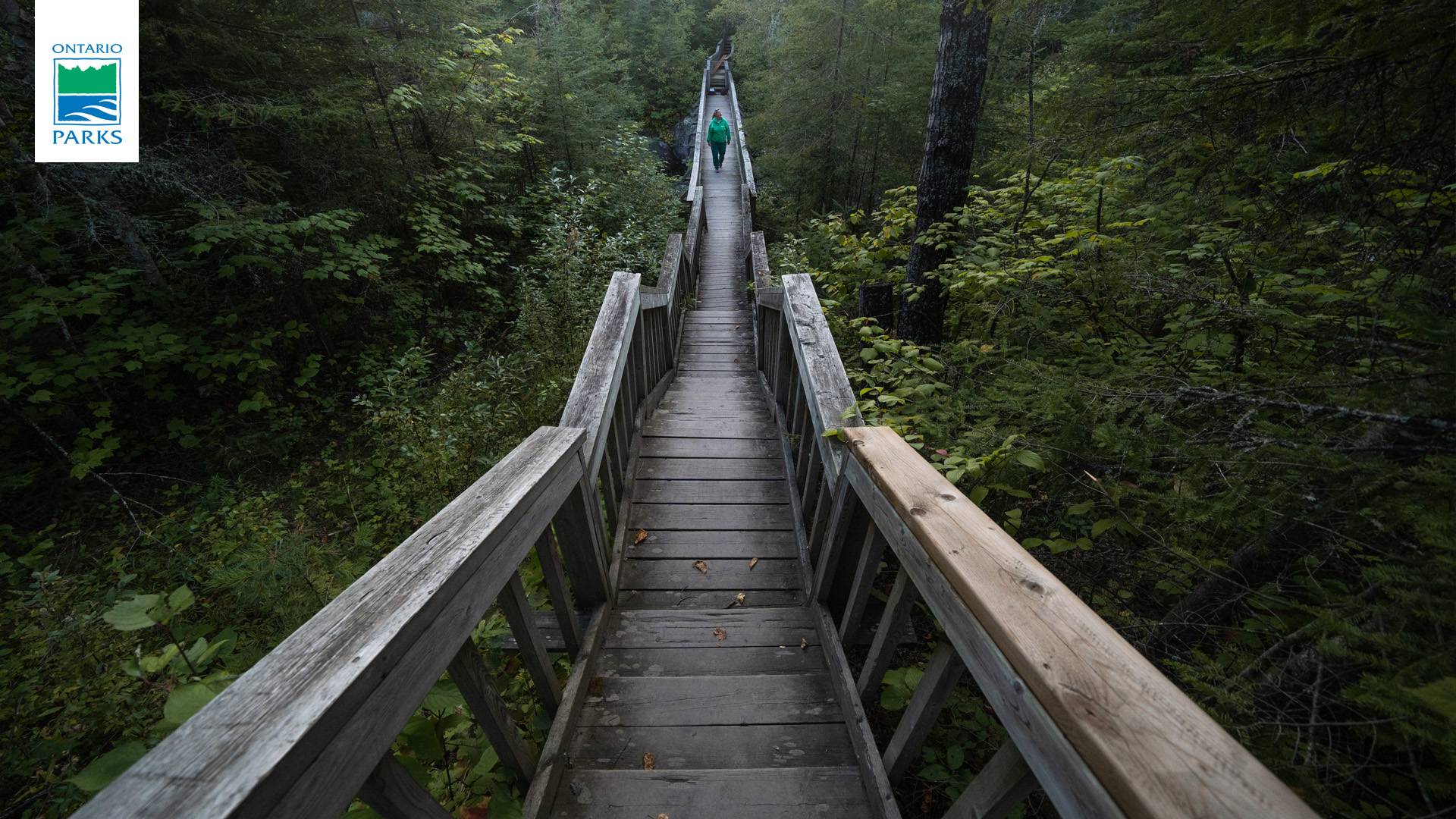 Hiking at Rushing River Provincial Park