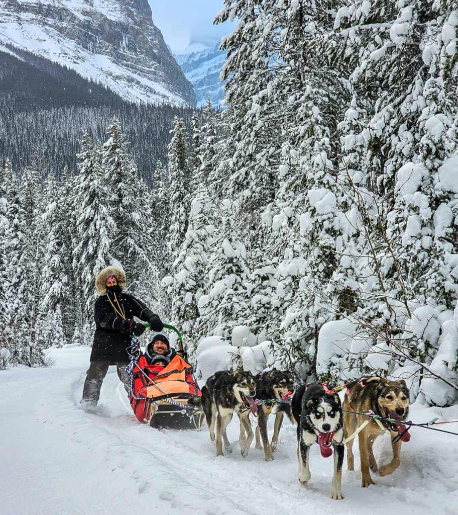 Dogsledding near Lake Louise along the Great Divide Trail in winter