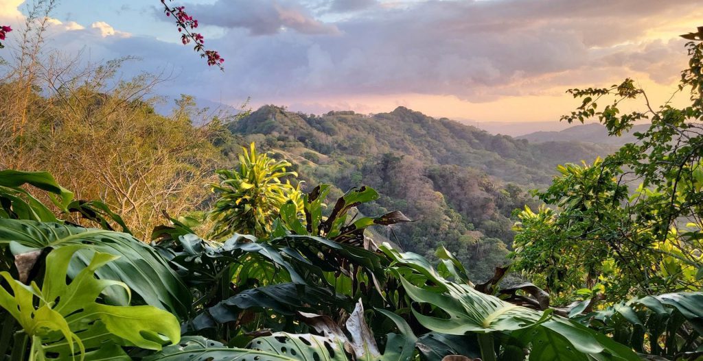 the-retreat-costa-rica-cathy-donaldson