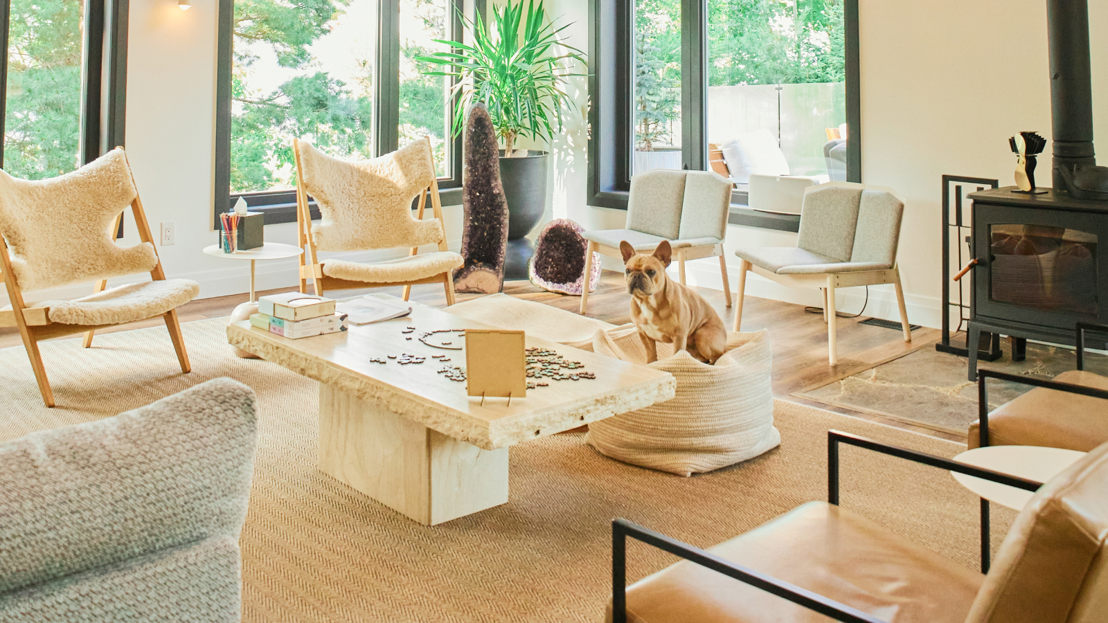 Dog-friendly accommodations