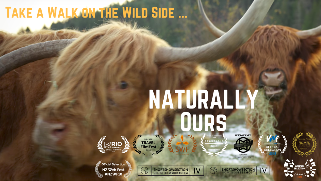 Take a Walk on the Wild Side with a trio of highland cattle.