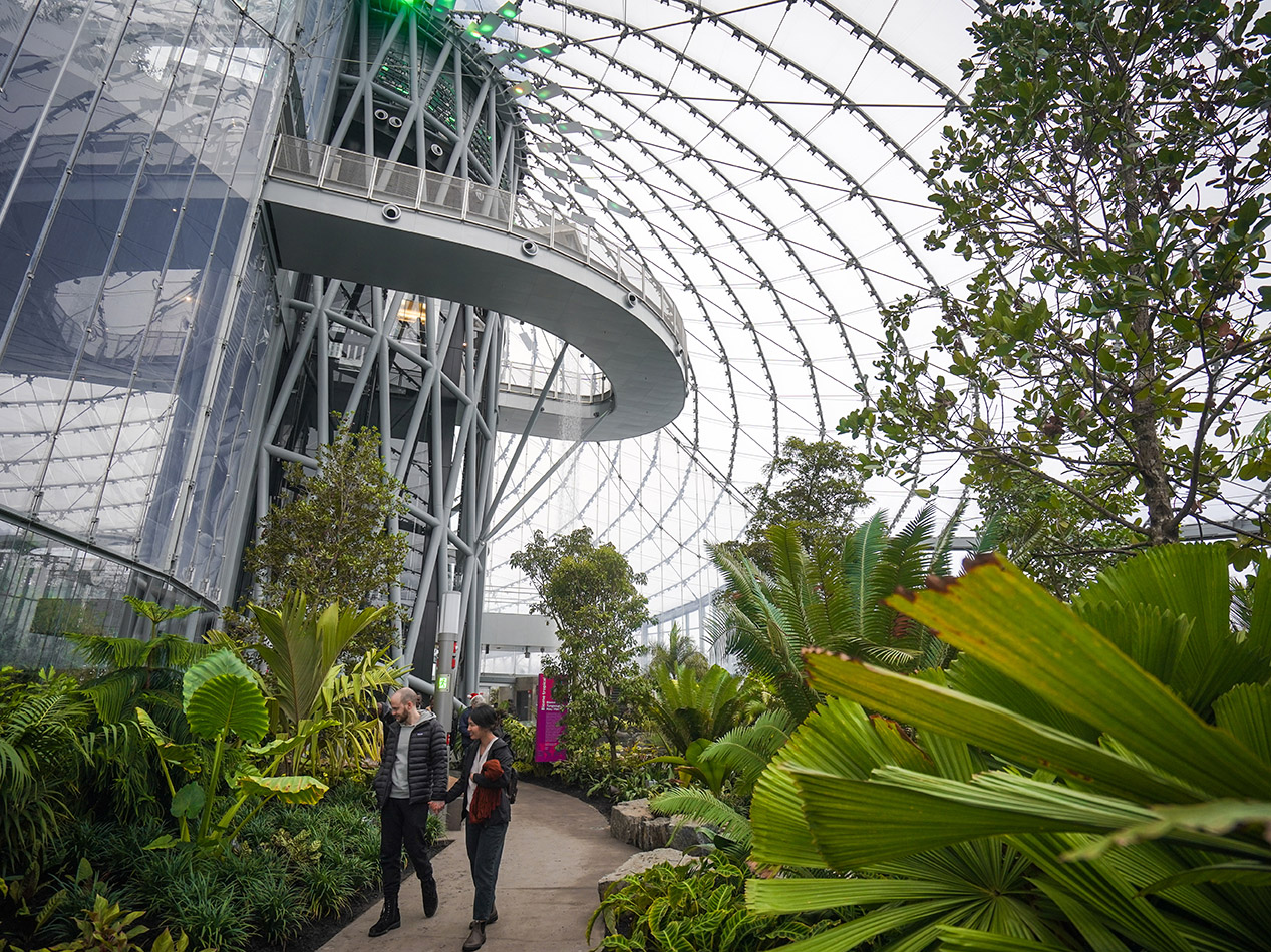 Two people strolling through a large indoor biome.