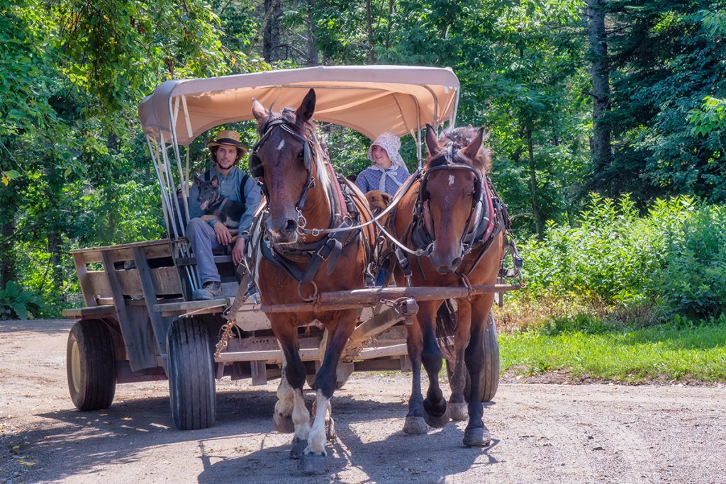 KingÃ¢â‚¬â„¢s Landing Ã¢â‚¬" New BrunswickÃ¢â‚¬â„¢s Open Air Museum with A Window to the Past